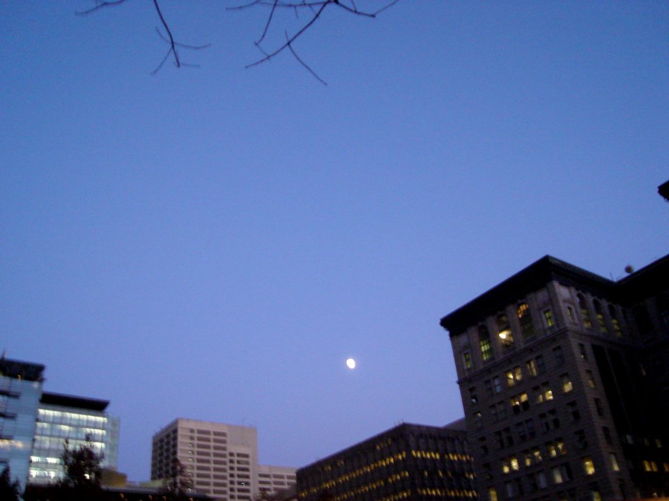 dsc02715.jpg 