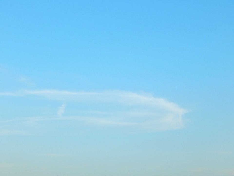 DSCN1126 