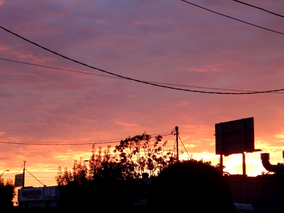 DSCN1145 