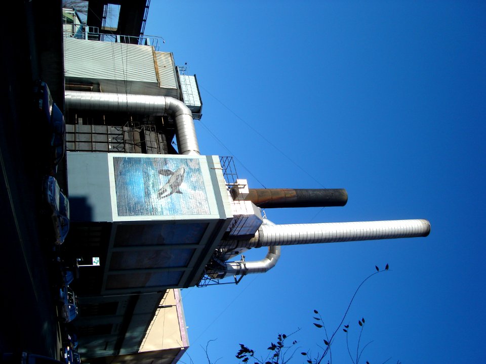 dsc02659.jpg 
