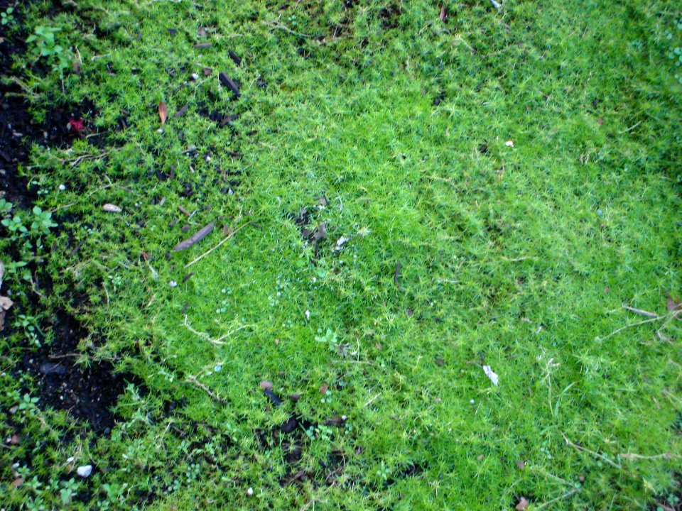 dsc02682.jpg 