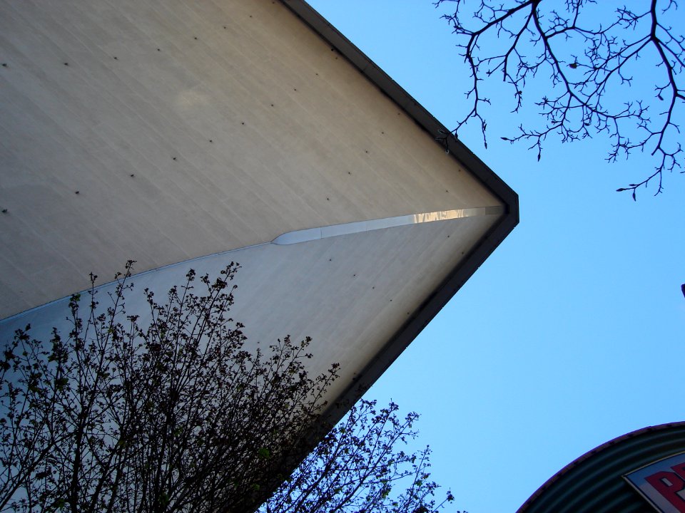 dsc02688.jpg 