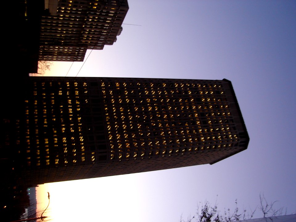 dsc02711.jpg 