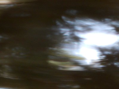 DSCN1278 