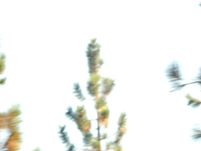 DSCN1302 