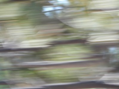 DSCN1307 