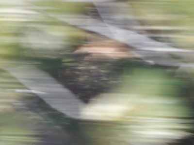DSCN1315 