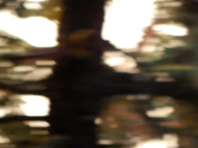 DSCN1392 