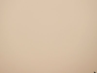DSCN1393 