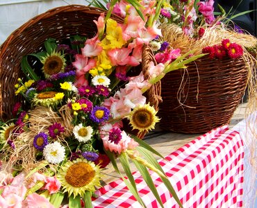 Flower bouquet color cut flowers photo