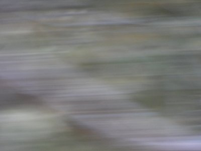 DSCN1399 