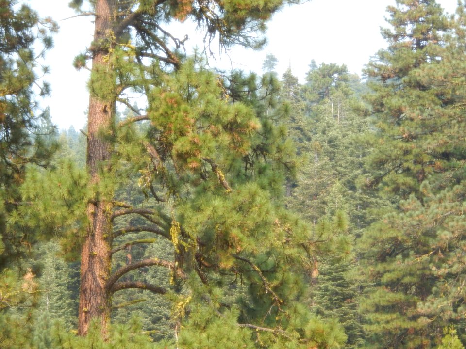 DSCN1183 