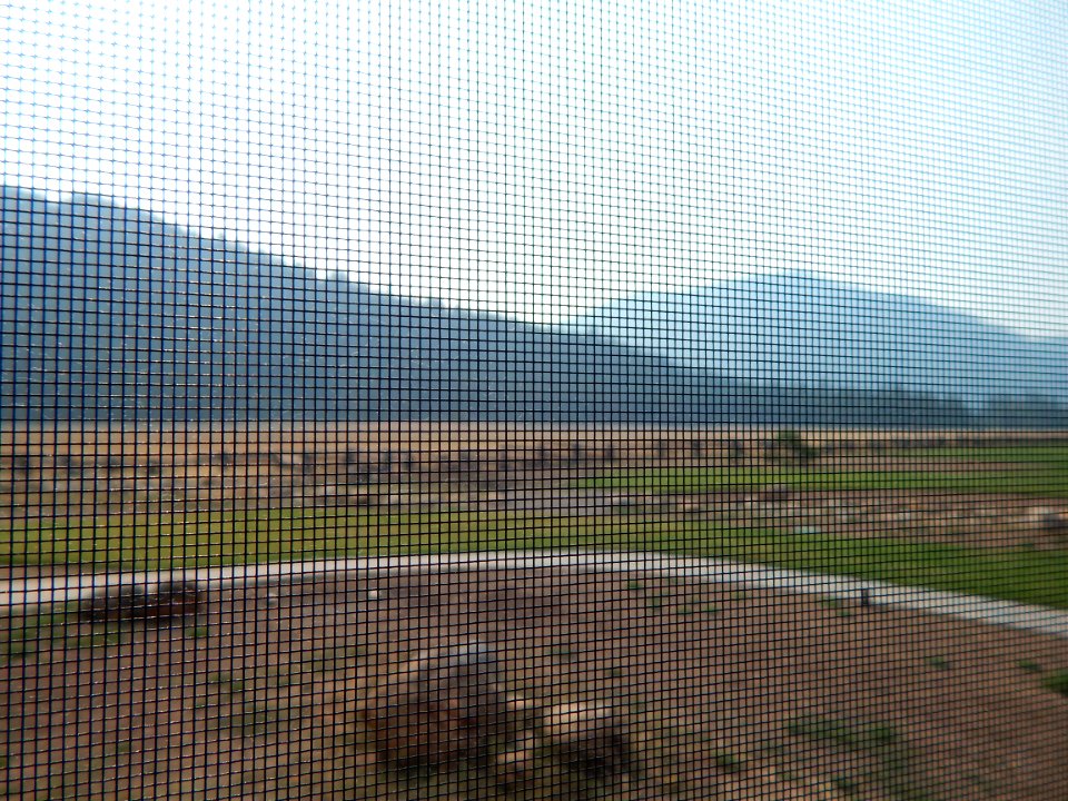 DSCN1186 