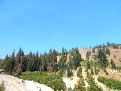 DSCN1193 