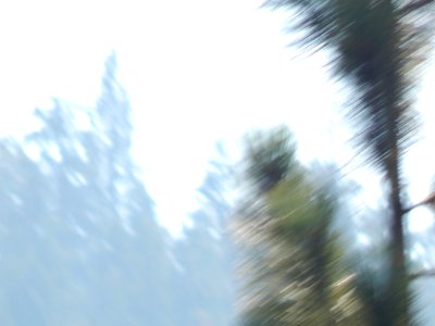 DSCN1284 