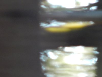 DSCN1277 