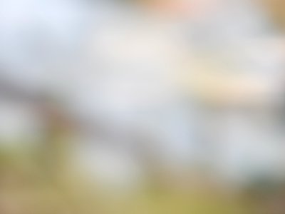 DSCN1310 