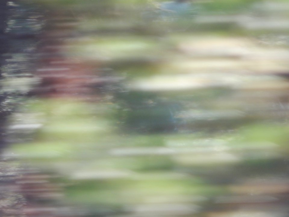 DSCN1334 
