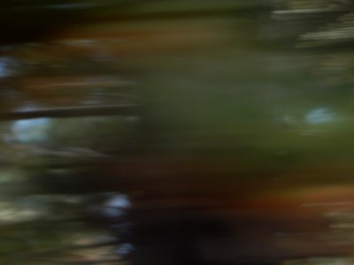 DSCN1293 