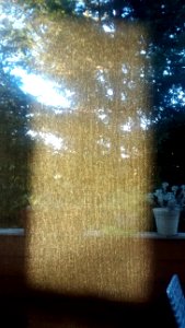 IMG_20150802_195538655 