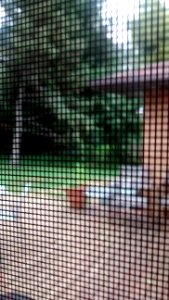 IMG_20150922_080454237 