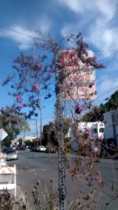 IMG_20150929_104950848 