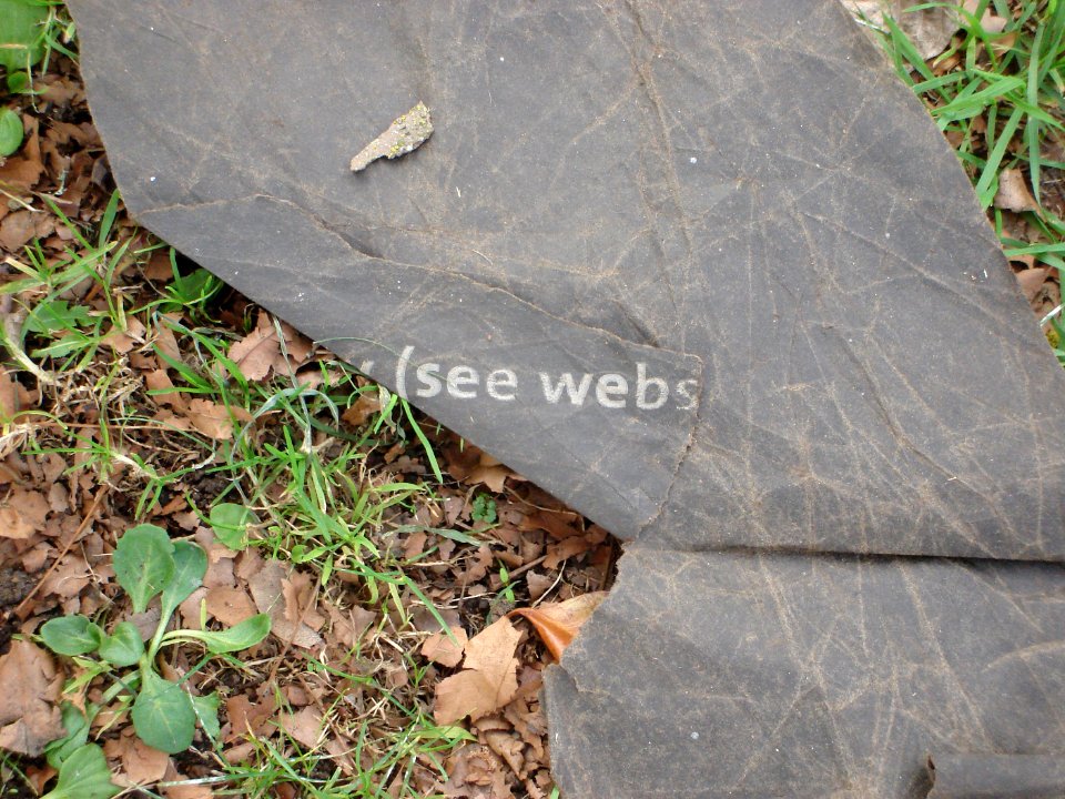 see webs 