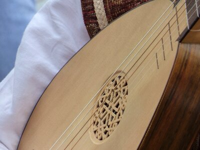 Lute strings instrument photo