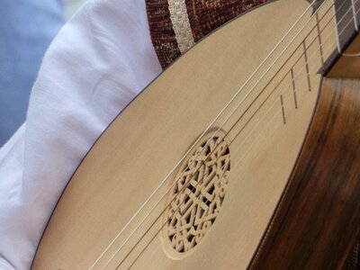 Lute strings instrument