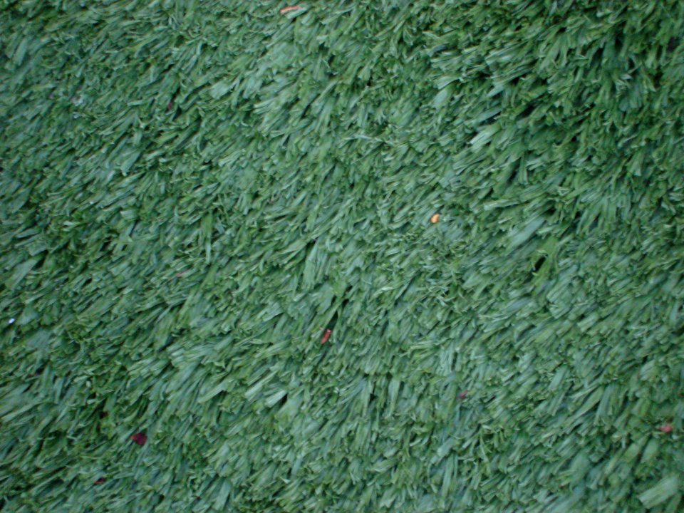 dsc02824.jpg 