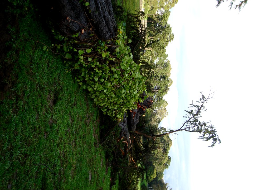 dsc02849.jpg 
