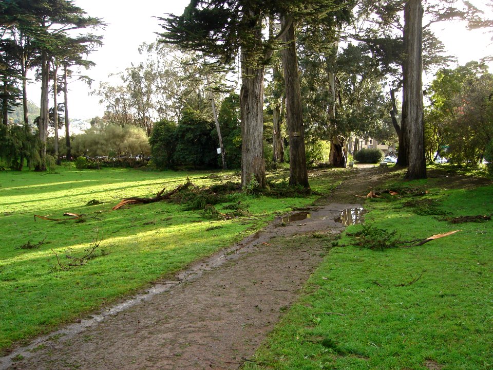 dsc02853.jpg 