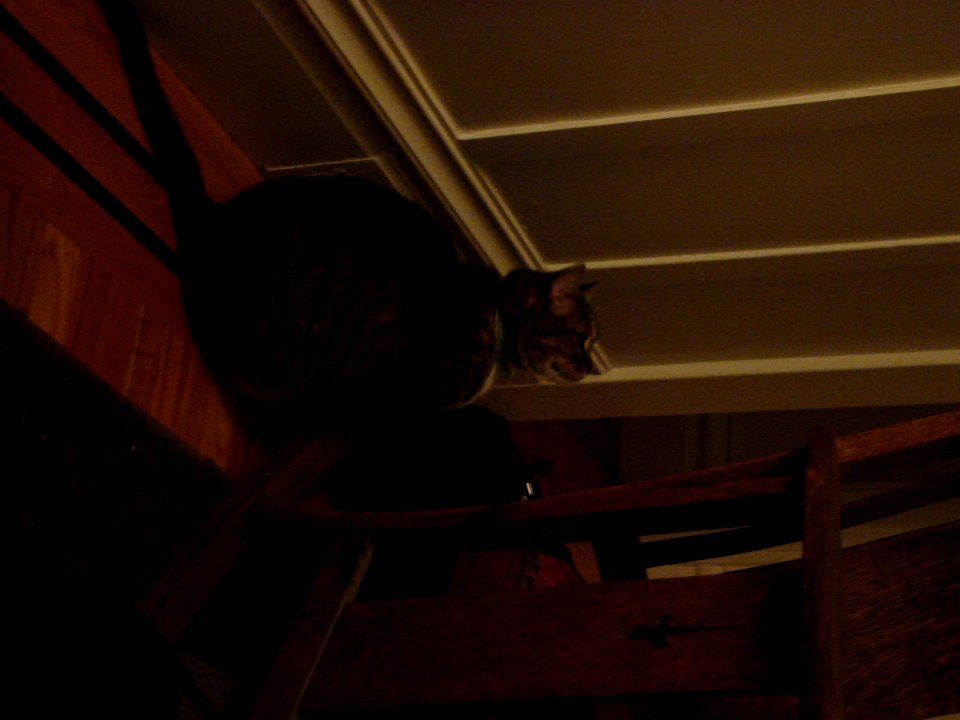 dsc02859.jpg 