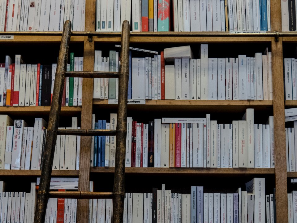 Ladder education shelving