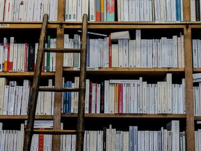 Ladder education shelving photo