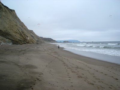 dsc00600.jpg 