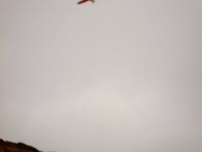 dsc00572.jpg 