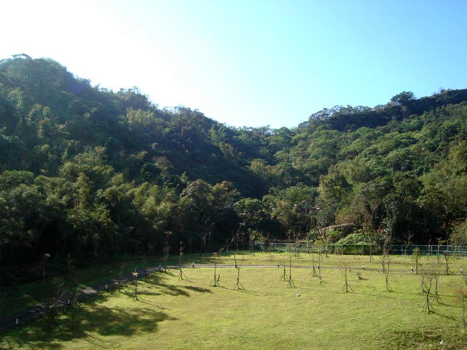 dsc02895.jpg 