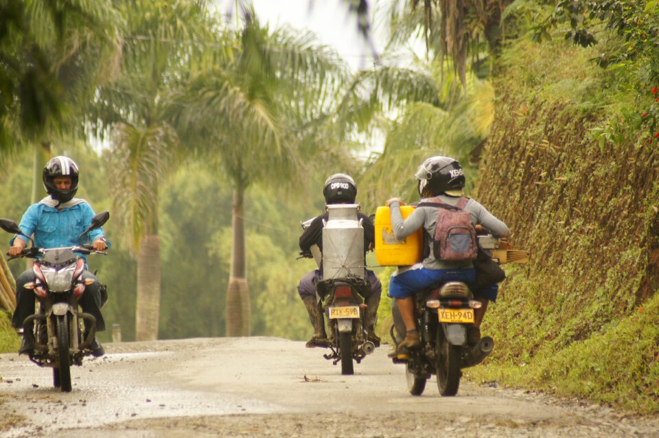 Motor india quindio