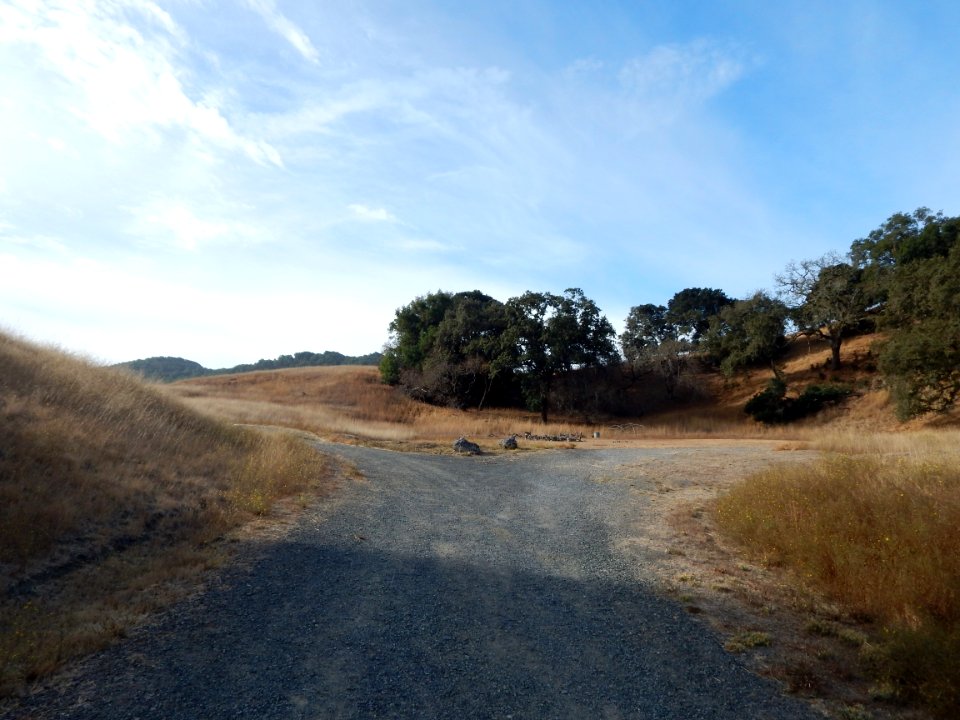 DSCN1514 
