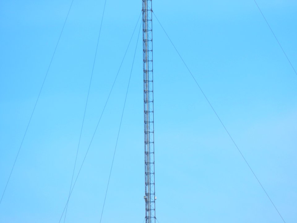 DSCN1534 
