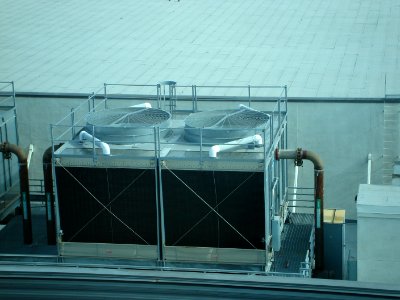 dsc03036.jpg 