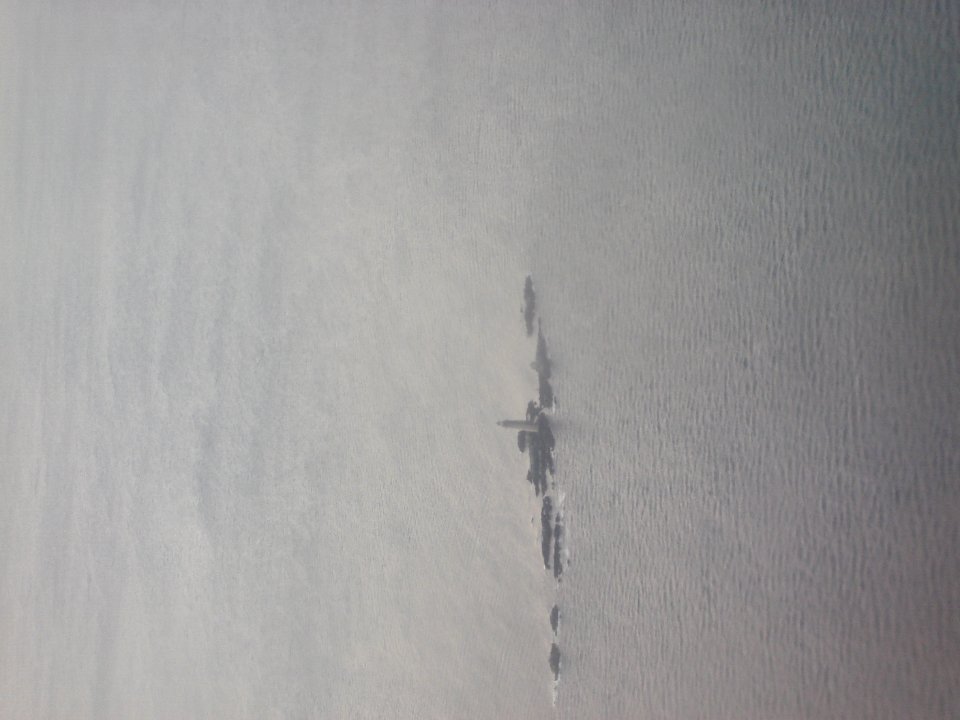 dsc03064.jpg 