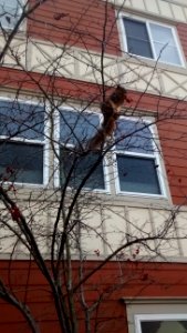 IMG_20160103_132307114 
