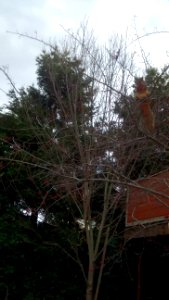 IMG_20160103_132234255 