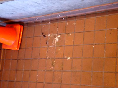 dsc03114.jpg 