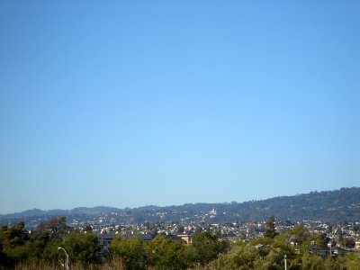 dsc03116.jpg 