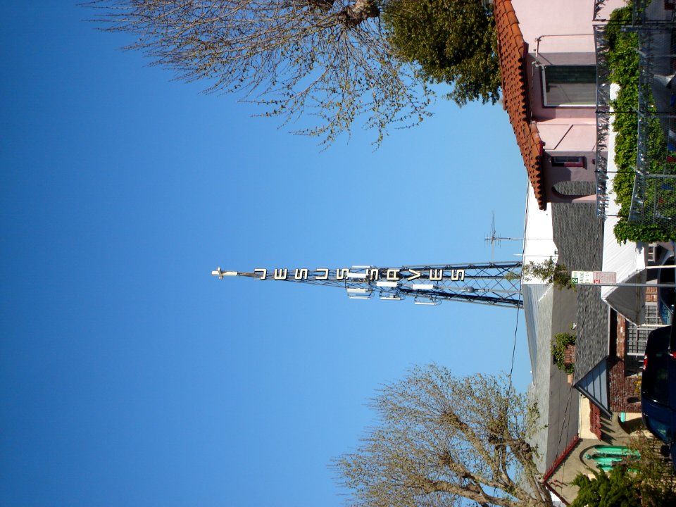 dsc03113.jpg 