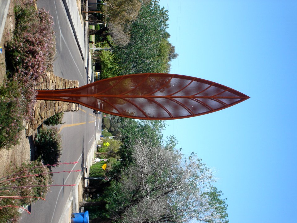 dsc03125.jpg 