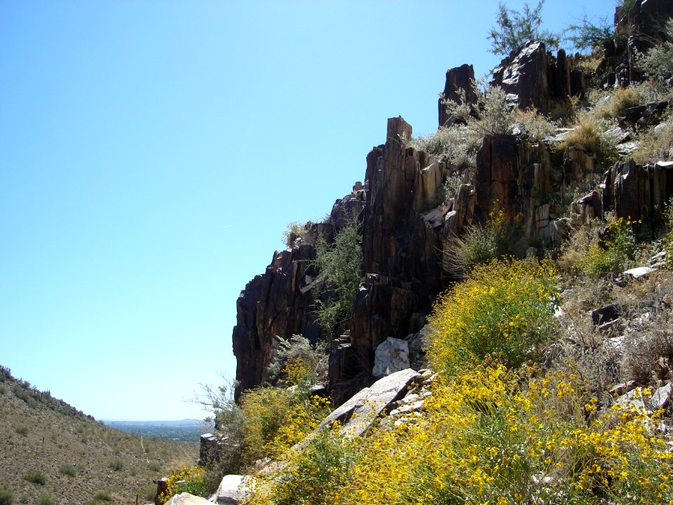 dsc03167.jpg 